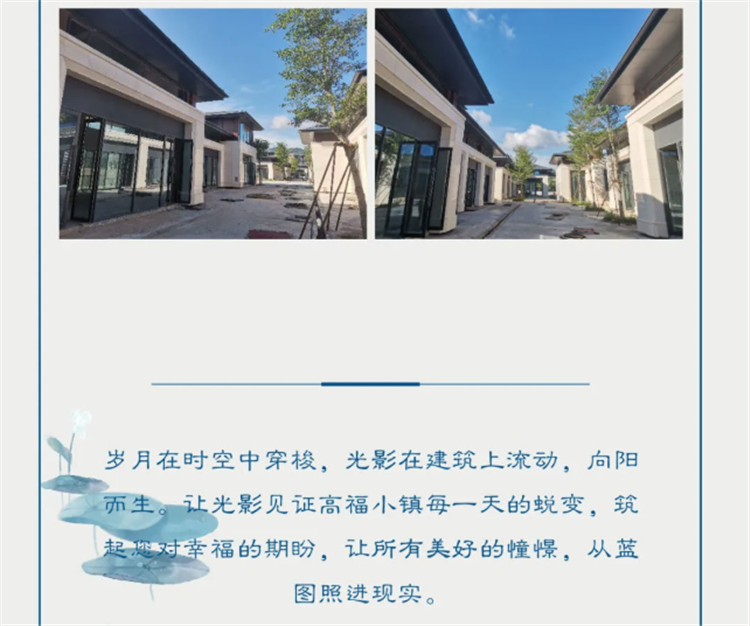 高福最新动态，探索科学前沿，引领未来科技领军之路