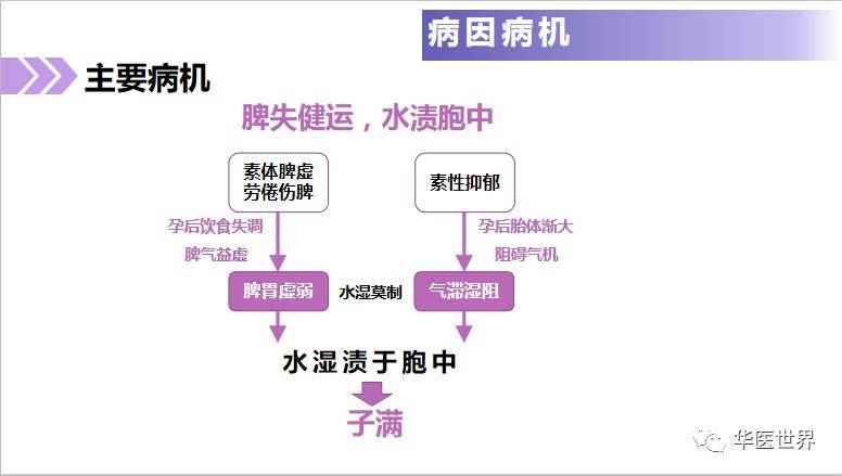 7777788888新版跑狗图论坛,专家解答解释定义_至尊版86.222