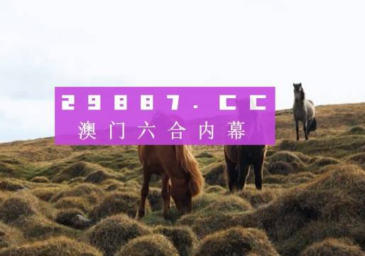 澳门4949开奖现场直播+开,可靠评估解析_RX版67.535