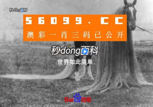 大三巴一肖一码中,广泛方法评估说明_网红版75.686