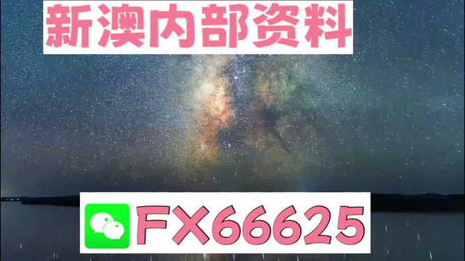 新澳天天彩免费资料大全查询,动态说明解析_定制版49.616