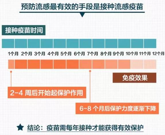 香港6合资料大全查,完整的执行系统评估_XE版17.339