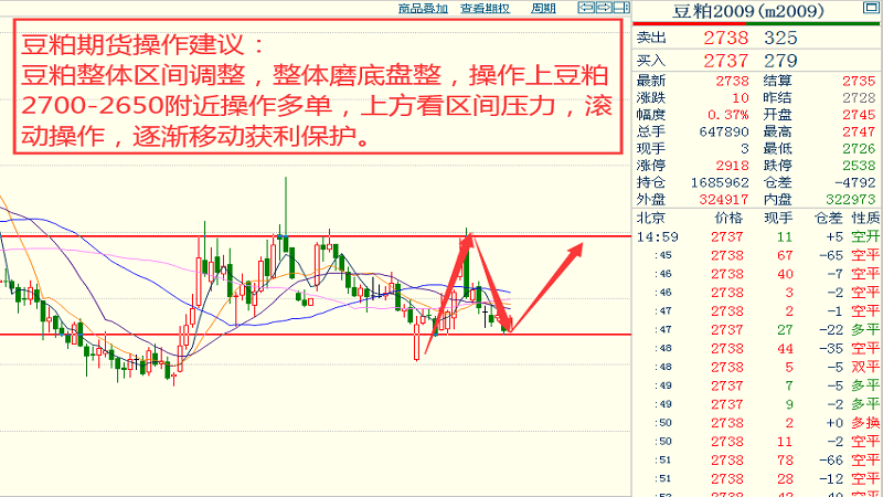 澳门王中王100%期期中,全面数据执行方案_YE版38.772