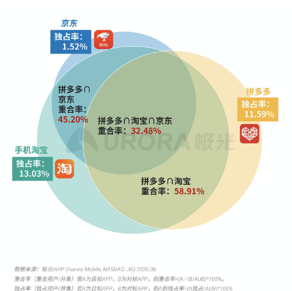 2024年12月7日 第31页