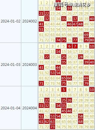 2024澳门天天开好彩大全开奖记录走势图,迅速执行解答计划_10DM76.414