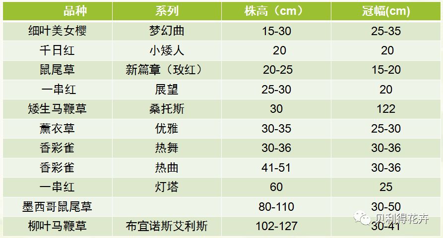 新澳天天彩资料大全最新版本,灵活性计划实施_yShop95.619