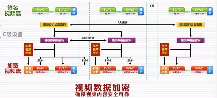 2024澳门今晚开特马开什么,数据驱动分析解析_视频版34.504