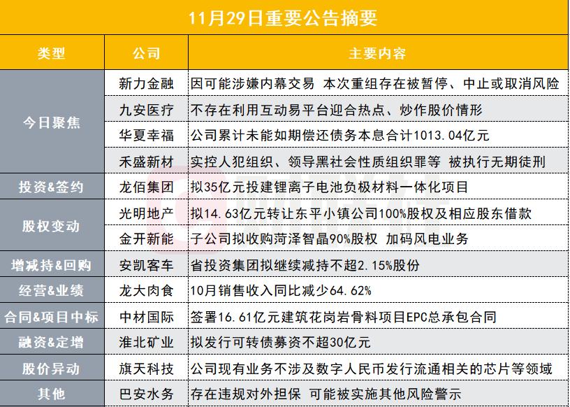 2024年12月10日 第25页