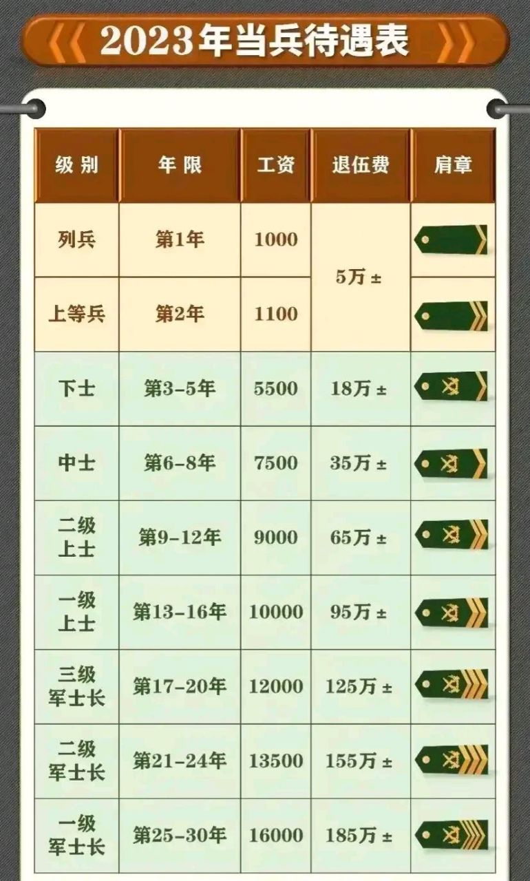 2025部队工资大幅上涨,定性说明解析_复古版94.697