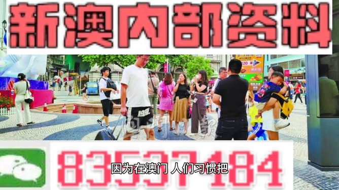 2024澳门正版精准免费大全,绝对经典解释落实_V37.118