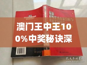 澳门王中王100%正确答案最新章节,数据驱动执行决策_DX版23.157