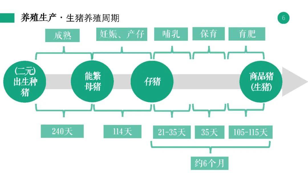 2024年12月13日 第65页