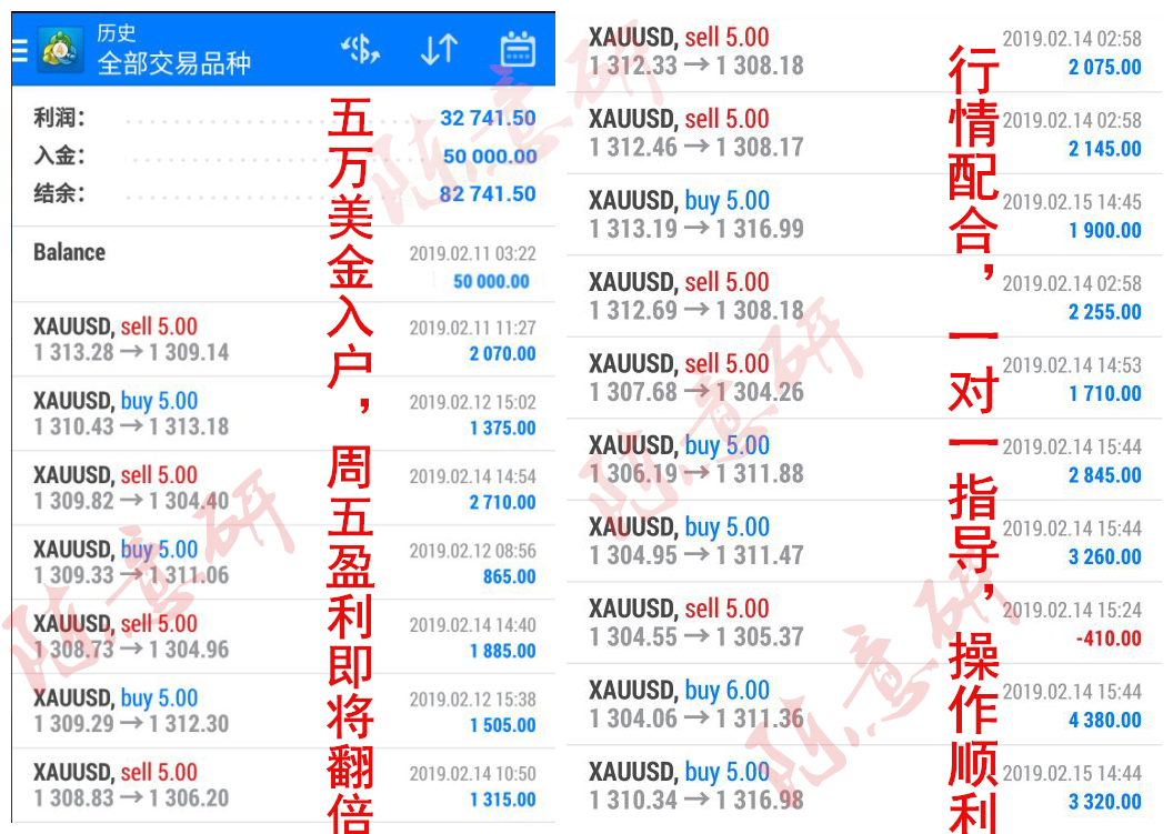 2024年新奥天天精准资料大全,实地数据验证策略_薄荷版61.298