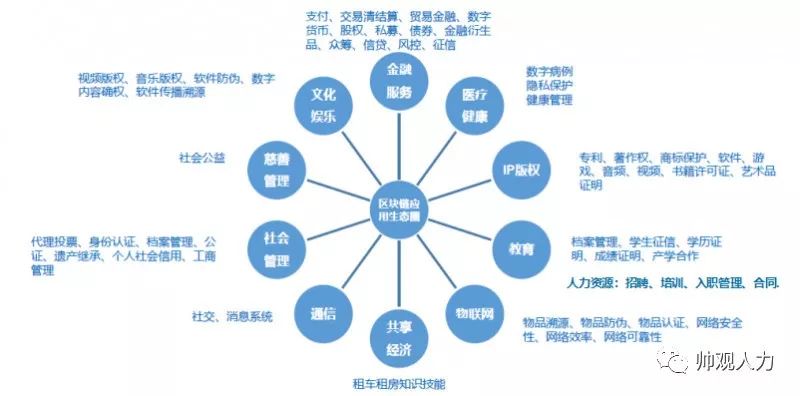 新澳最新版精准特,综合分析解释定义_Holo76.547