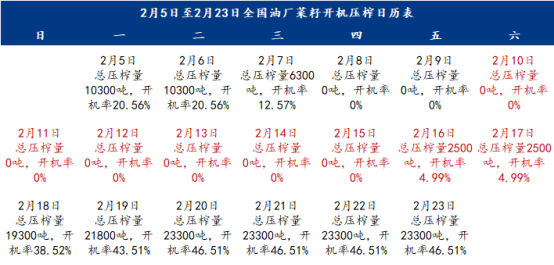 2024新澳开奖结果,全面理解执行计划_潮流版2.773