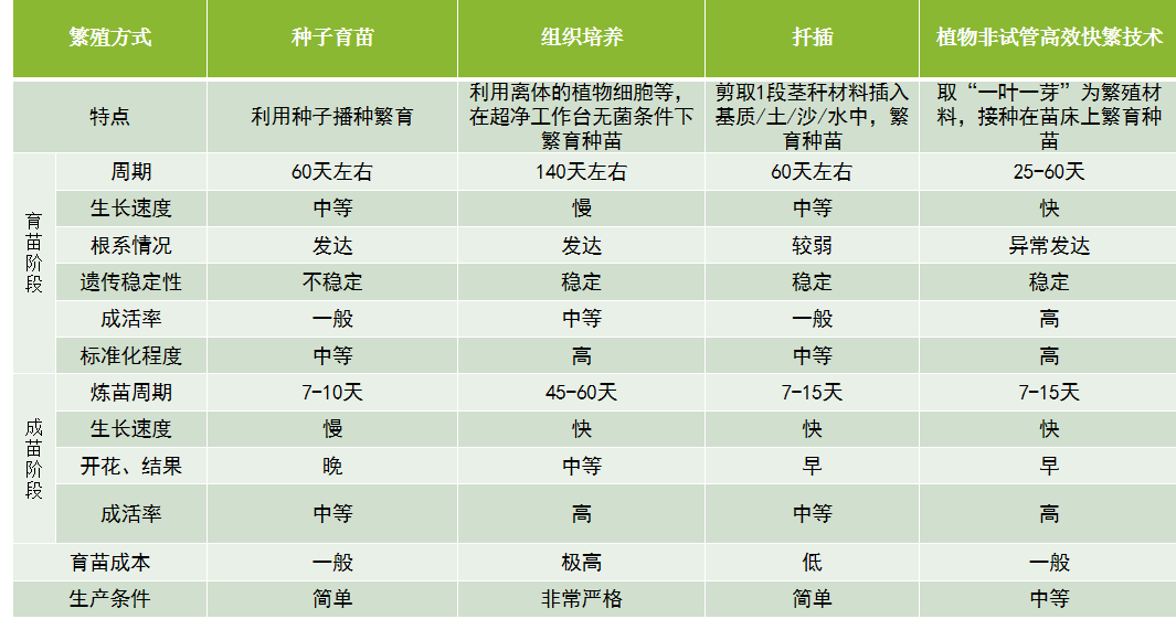 2024年新奥门天天开彩,高效设计计划_Linux58.140