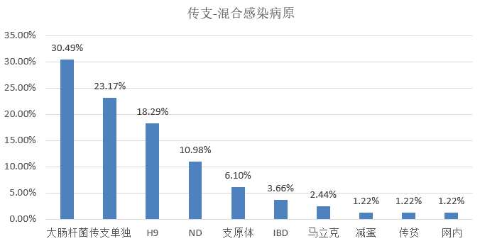 新澳精准资料免费提供221期,市场趋势方案实施_户外版2.632