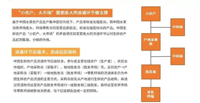 正版澳门天天开好彩大全57期,合理执行审查_投资版38.81