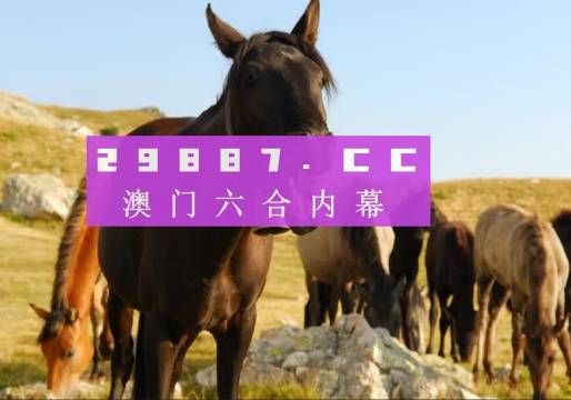 澳门管家婆一码中2024,结构化评估推进_Lite88.446