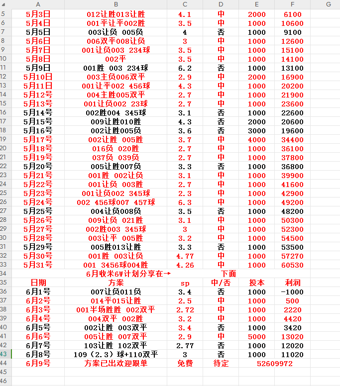 2024年12月19日 第13页