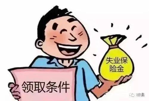 补助金最新动态，政策调整与申请流程优化详解