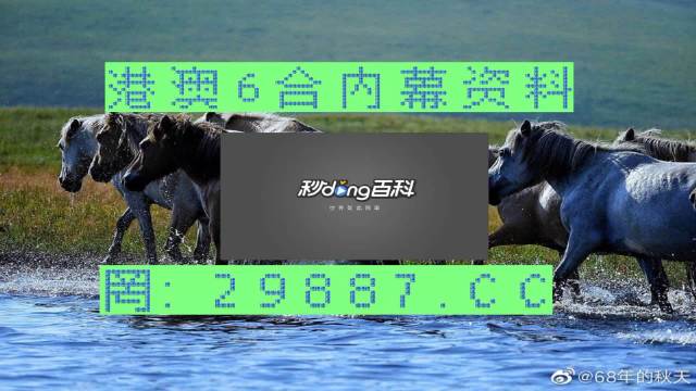 2024澳门买马最准网站,高速响应方案解析_高级款44.327