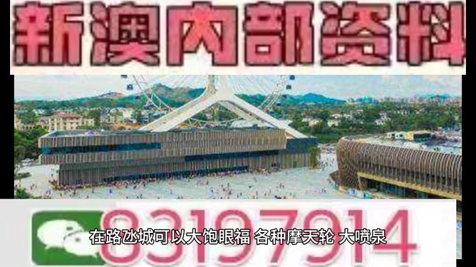 新澳门今晚必开一肖一特,动态分析解释定义_DX版33.214