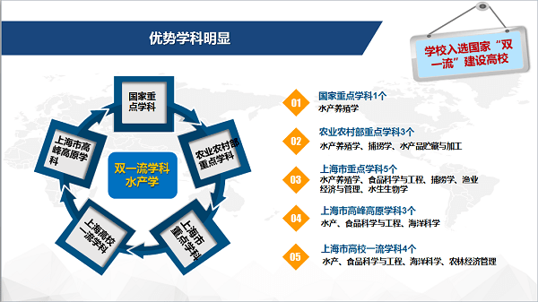 三肖必中特三期必开奖号,专业评估解析_户外版135.91