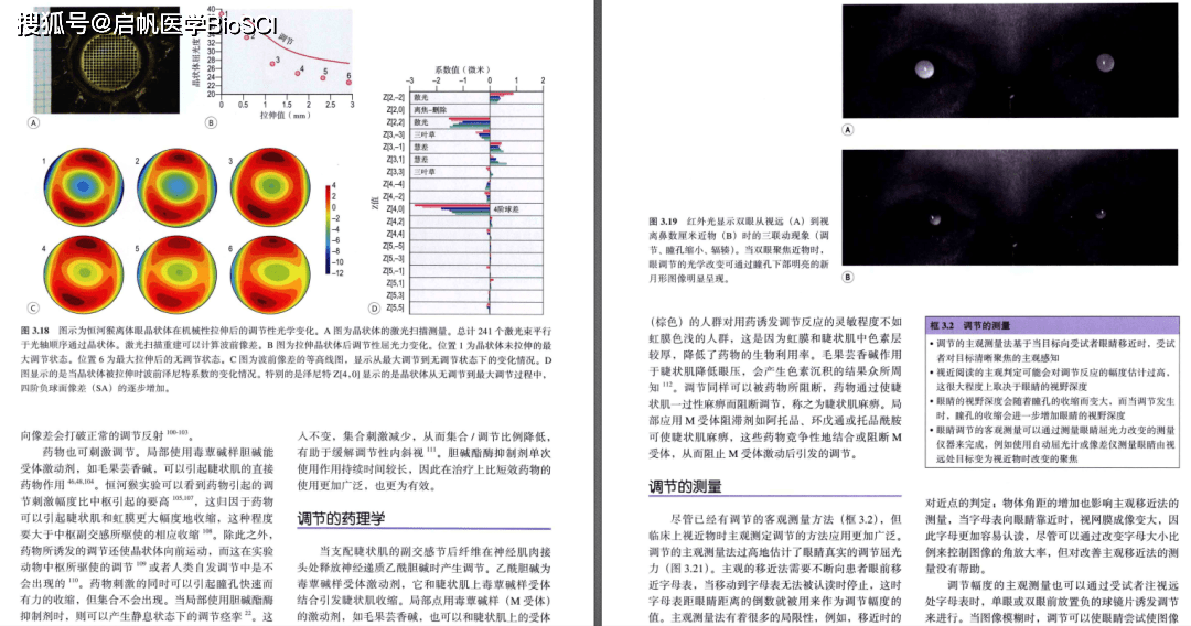 新门内部资料精准大全最新章节免费,时代说明解析_经典版41.90