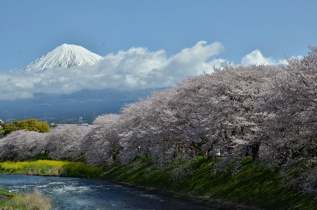 日本富士山喷发最新消息2023，影响与应对策略揭秘