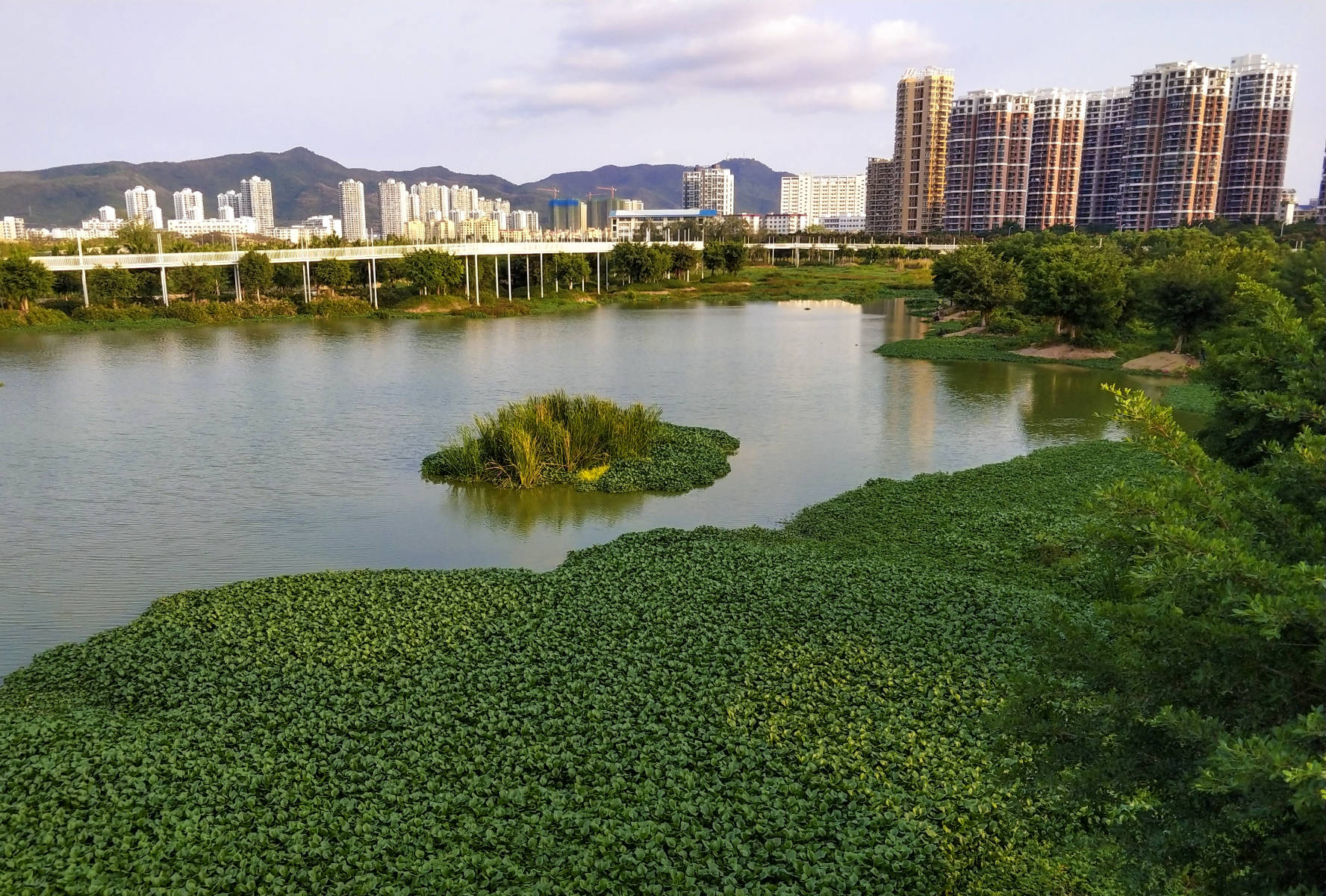 三亚新岸湿地公园最新进展及前景展望揭秘