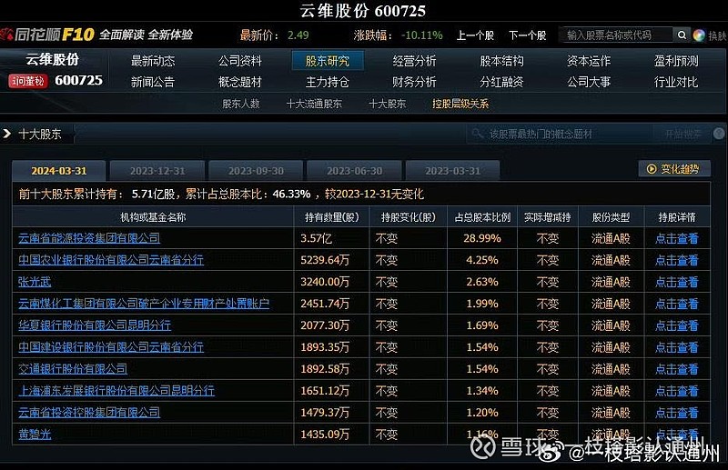 云维集团最新消息全面解读