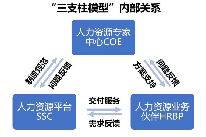 HR新模式，重塑未来人力资源管理之路