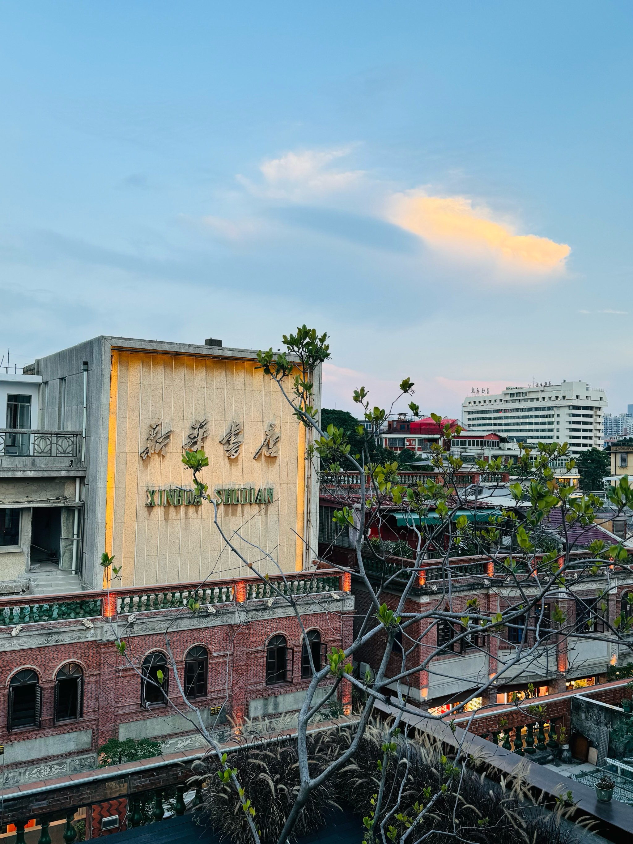 泉州新晋网红，城市魅力与网红力量的璀璨交融